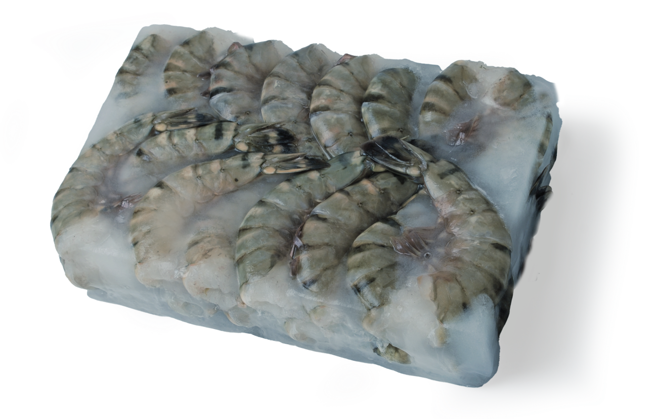 Chef's Net Select black tiger shrimp HLSO frozen block