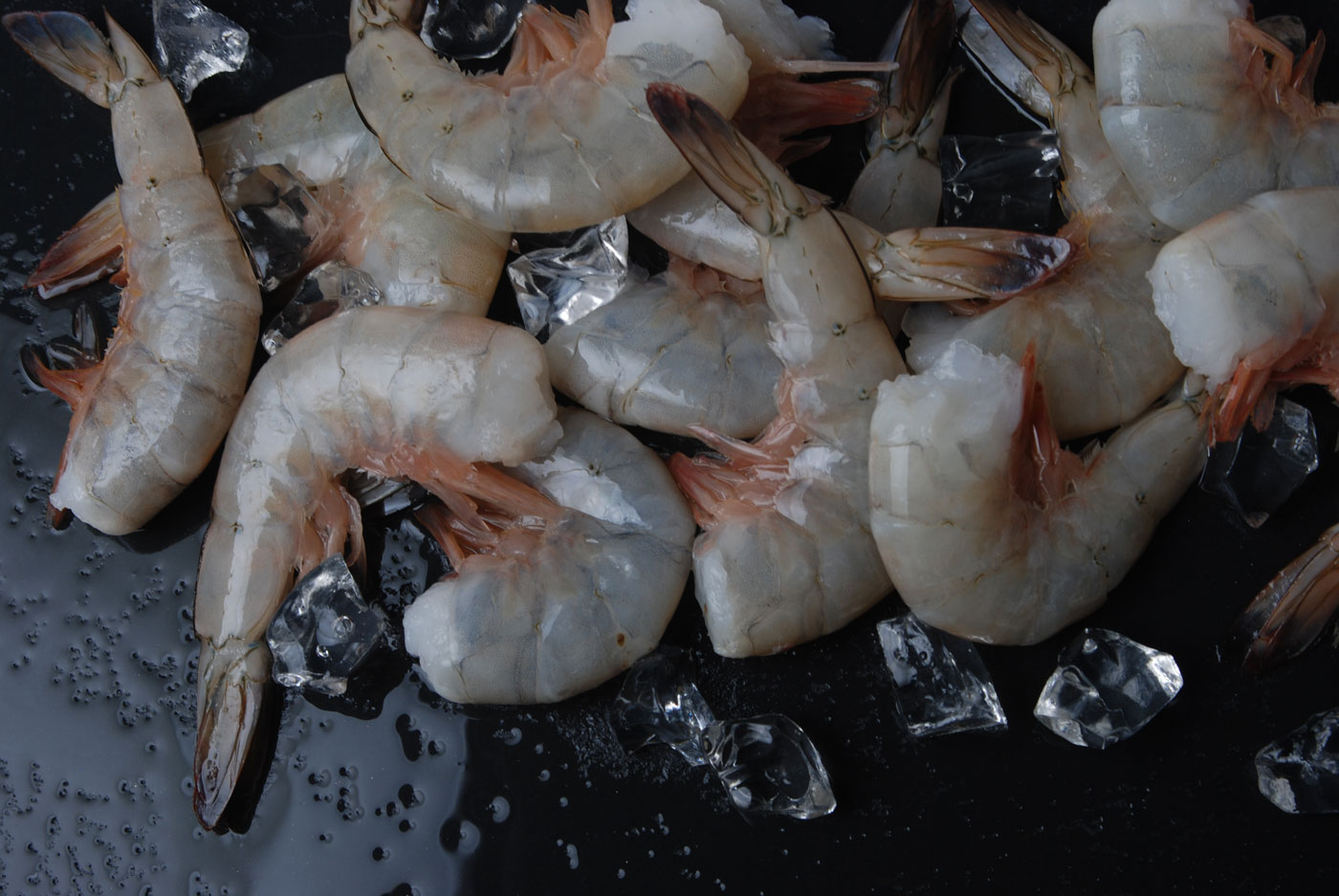 Raw shell-on white shrimp on crushed ice