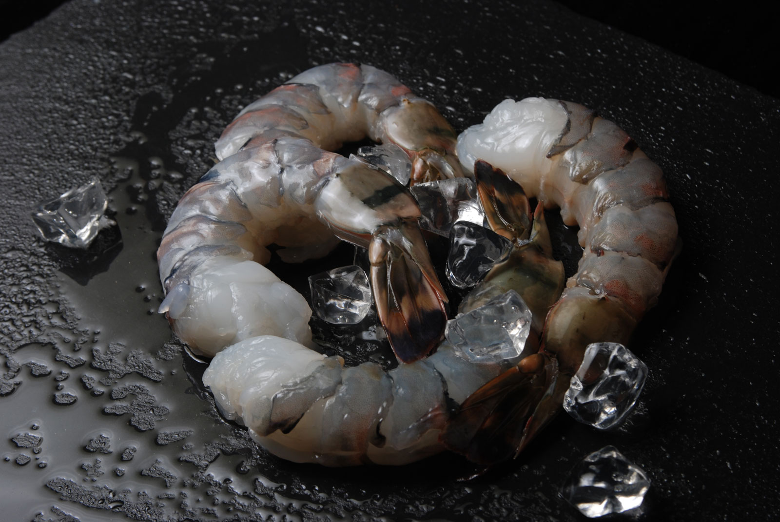 Chef's Net Select black tiger shrimp P&D tail on with crushed ice