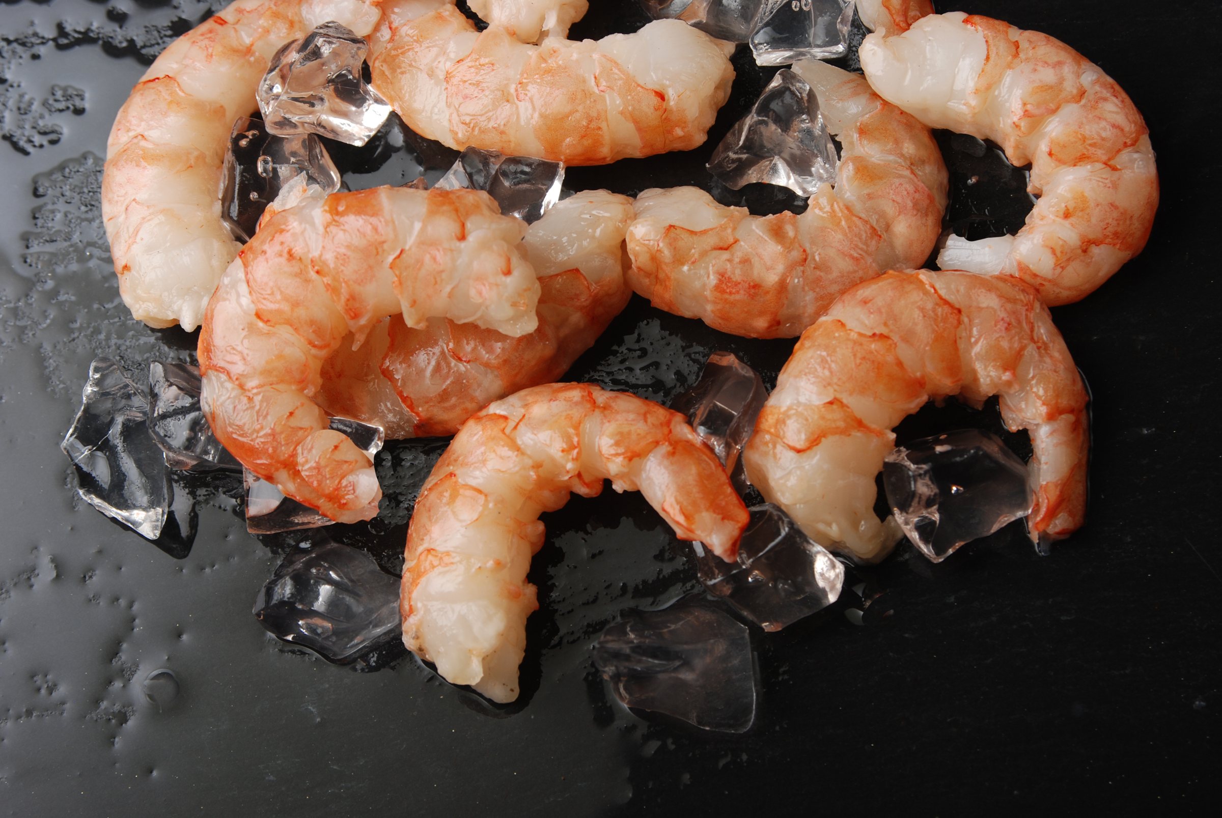 Wild caught Argentine red shrimp, tail off, on crushed ice