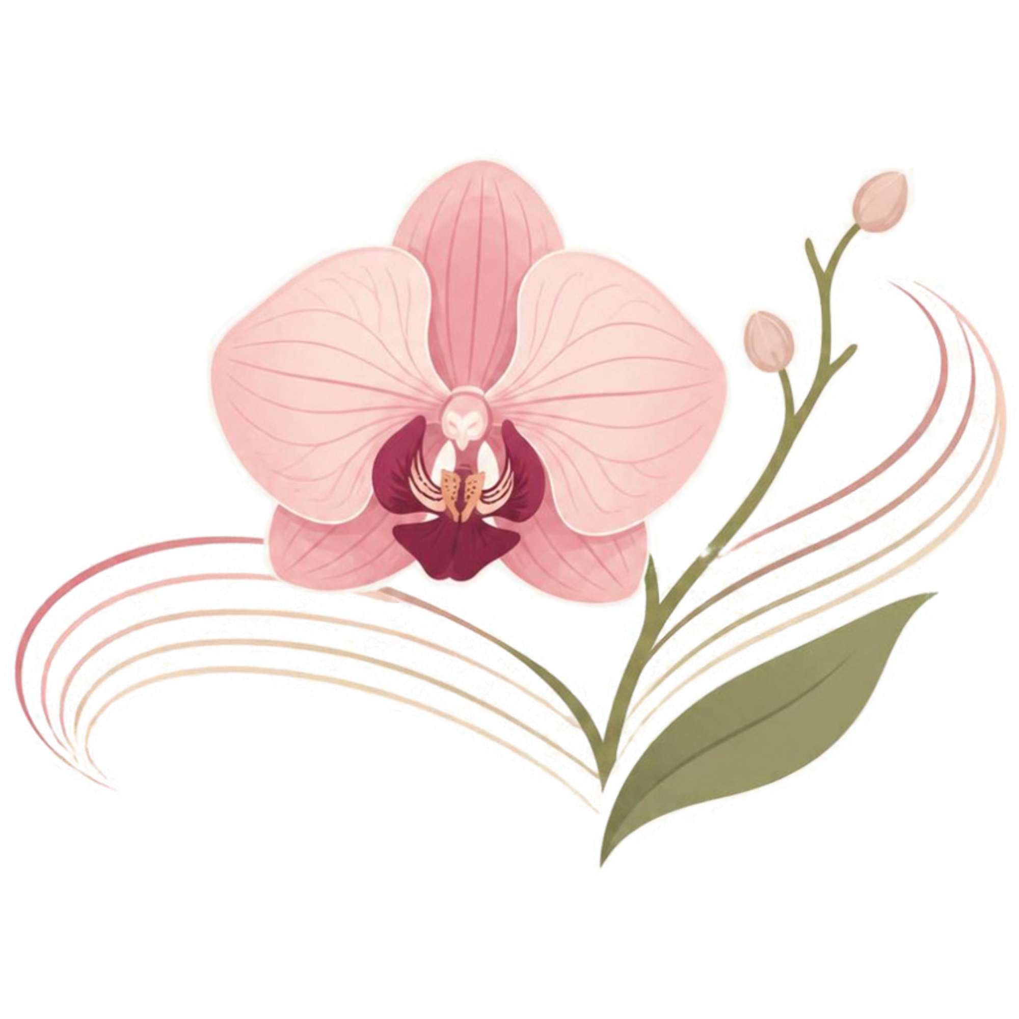 Delicate pink orchid flower with dark inner petals, two unopened buds on a green stem, and one green leaf, accompanied by graceful curved lines in soft pink and beige tones.