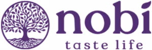 Nobi logo.