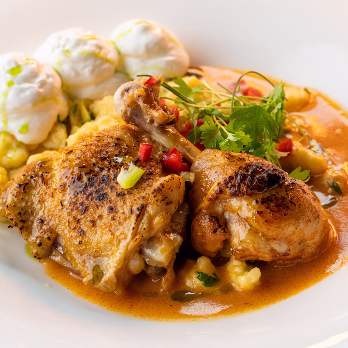 Chicken Paprikash with Cucumber Salad – Aranybástya Menu, Buda Castle