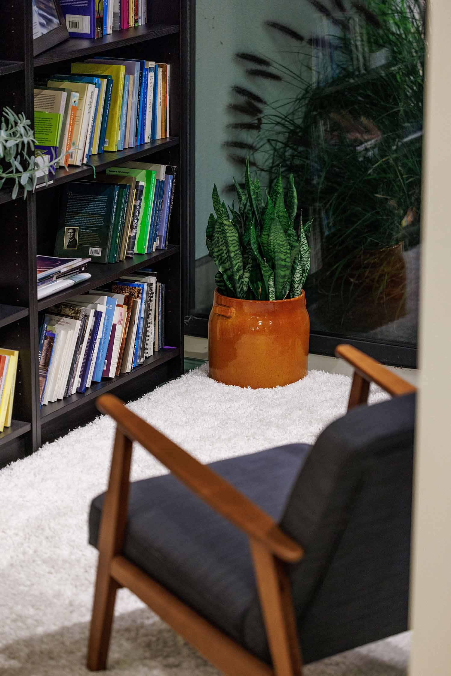 Bibliotheek met stoelen, terracotta bloempot met sanseveria, tapijt wol