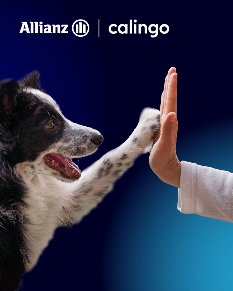 Calingo Insurance announces new partnership with leading Swiss insurance group Allianz Suisse