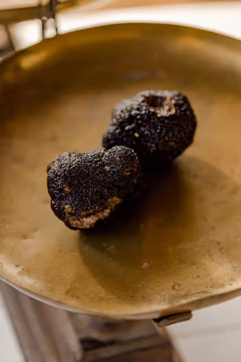 Beautiful black truffles direct from local truffle farm