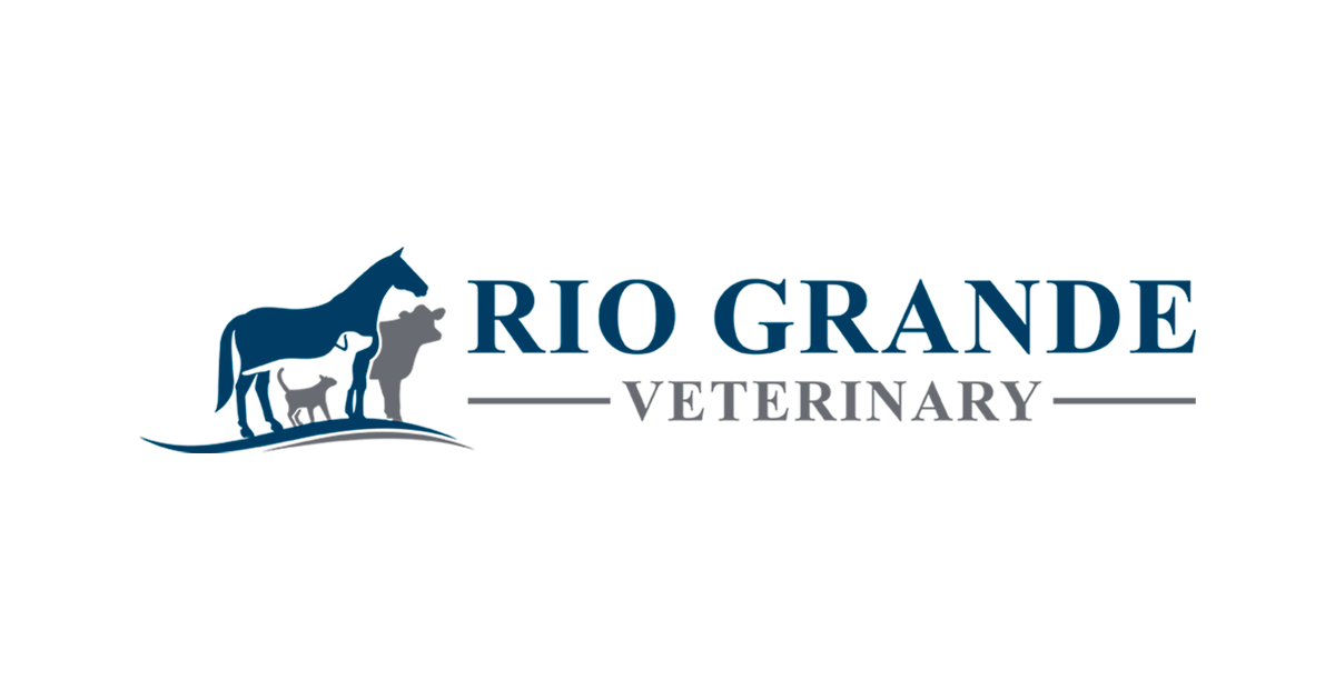 Rio Grande Veterinary Clinic photo 1 in Laredo