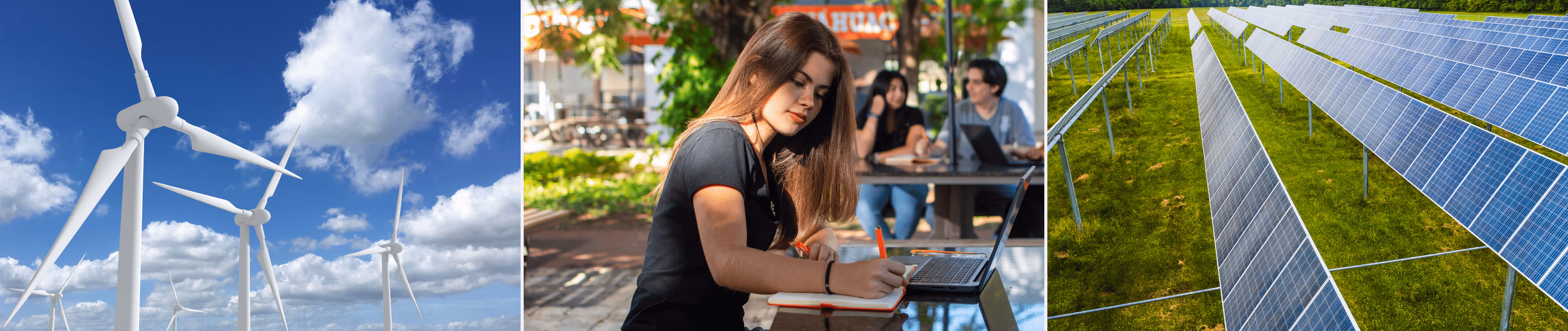 Carreras en Energías Renovables