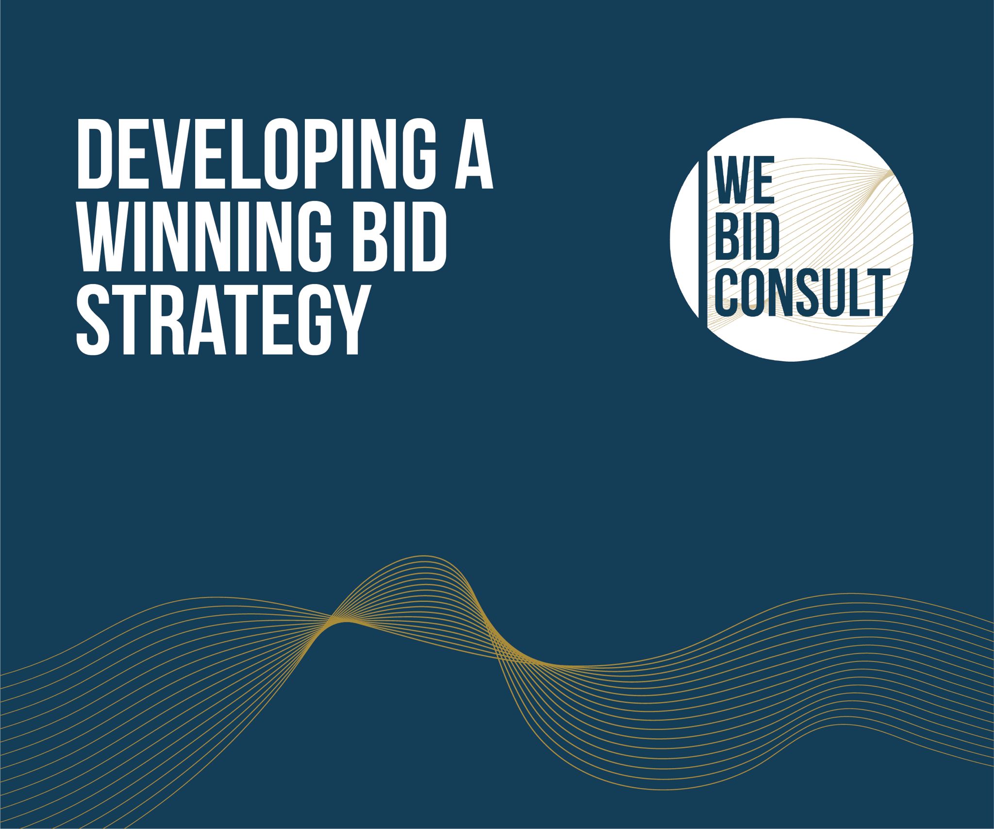 Developing a Winning Bid Strategy