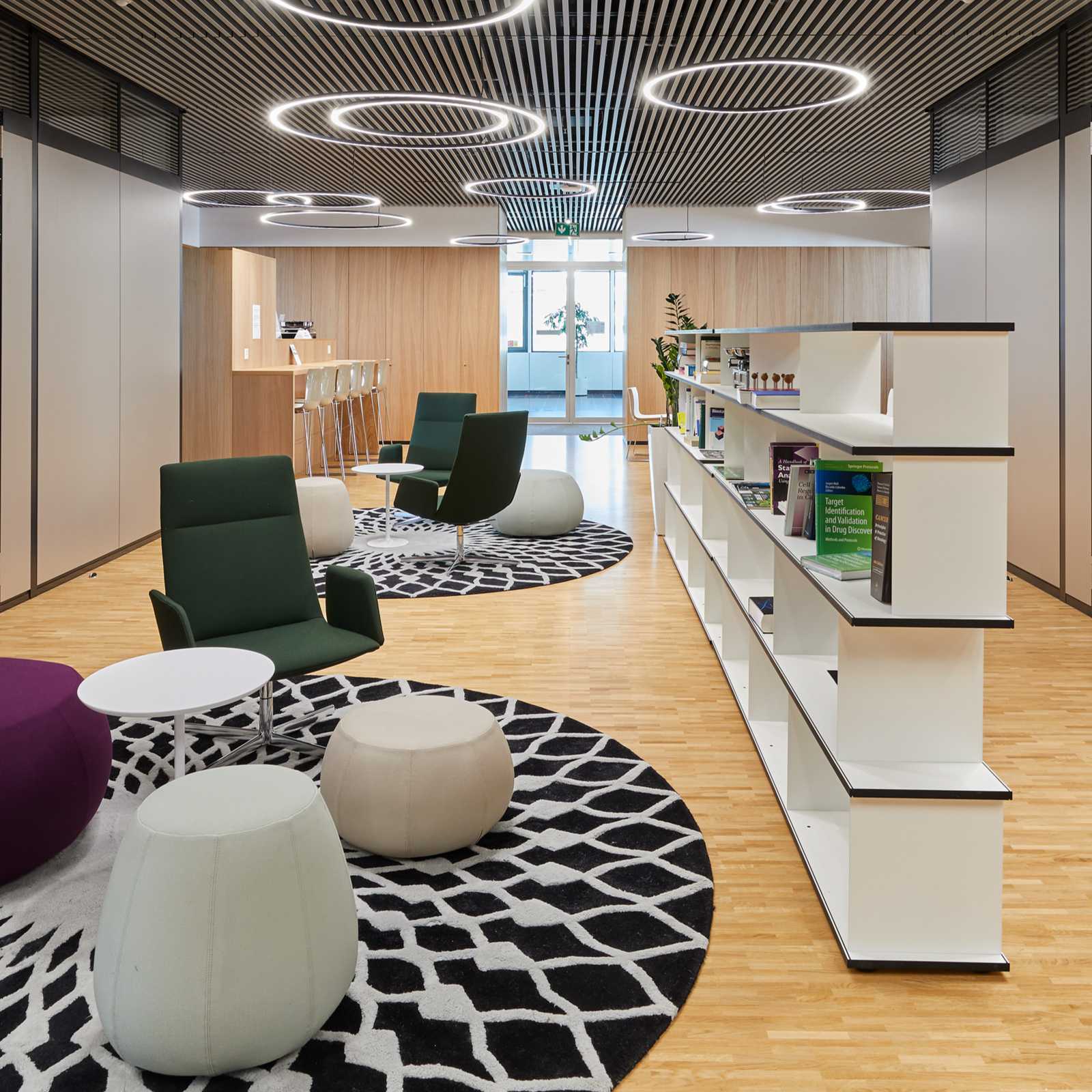 Installation of flexible and contemporary laboratory, office and communication zones in buildings on the edge of the Novartis Campus.