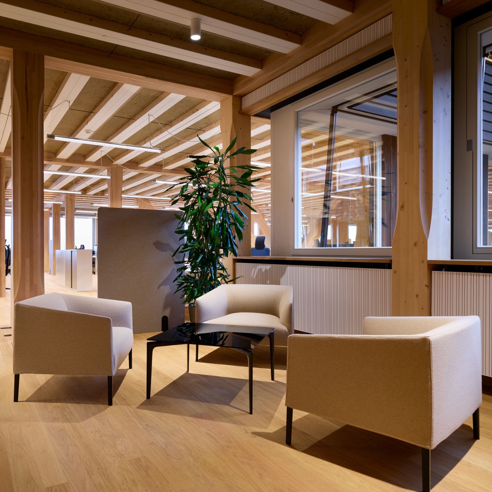 Mieterausbauten HORTUS