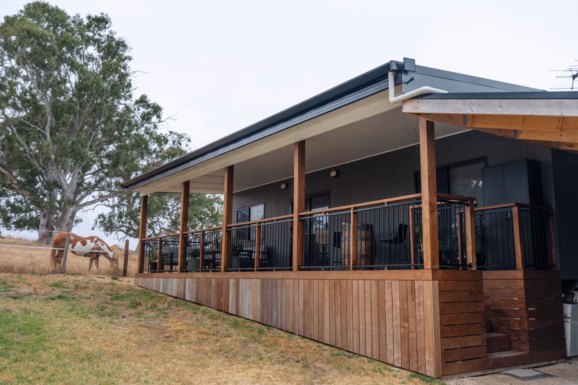 Timber-decked veranda of a Modify portable home in the Adelaide Hills, with a horse grazing on the grounds beneath a large gum tree.