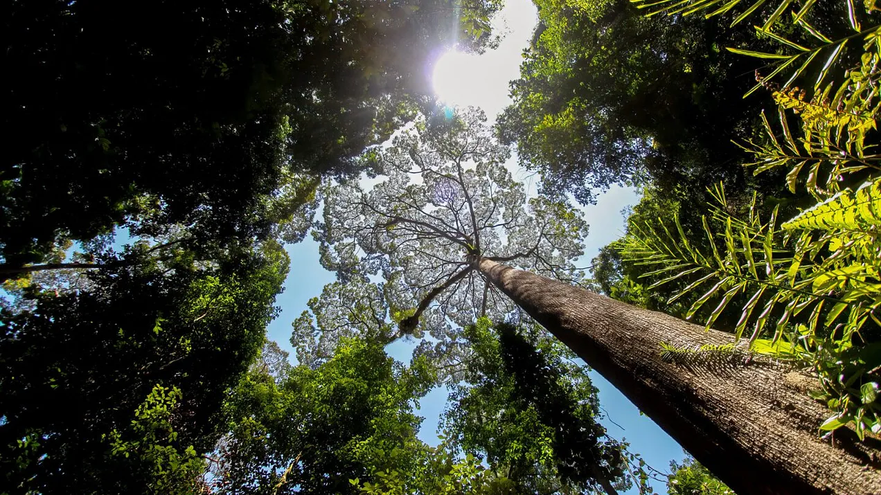 The Hedge Fund Journal Publishes a Feature Article on the Panah Fund