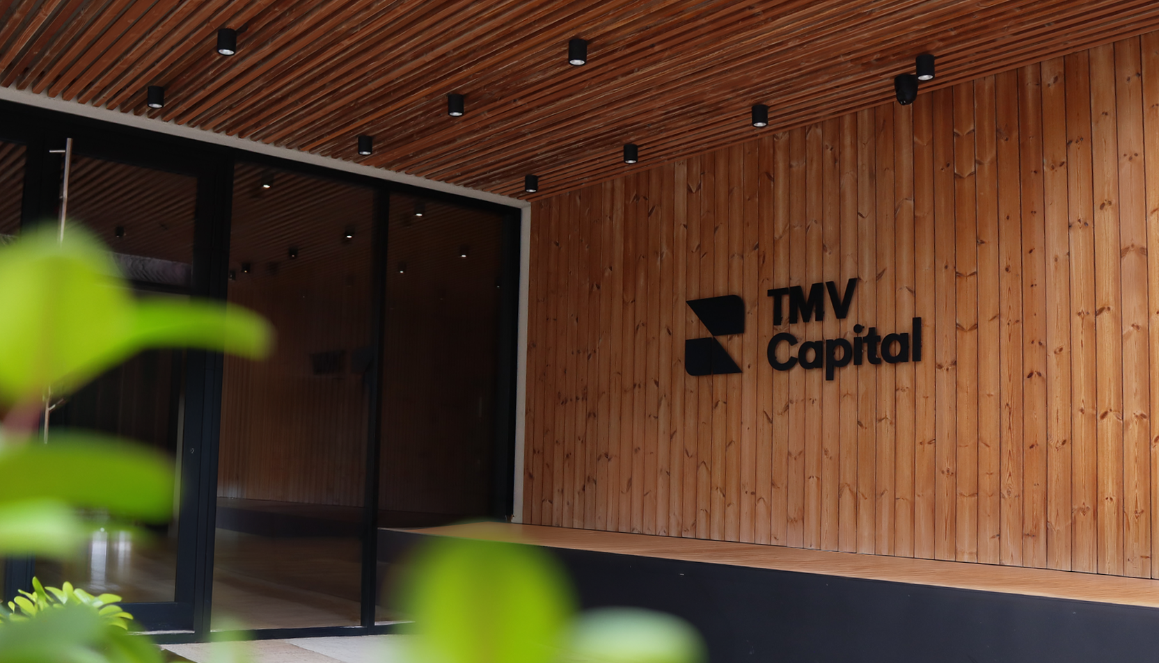 Sustainable business evolution: TMV CAPITAL group is building the ecosystem of the wood industry