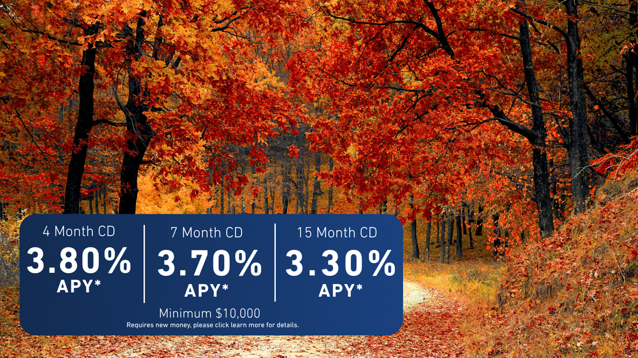 Family walking through the woods