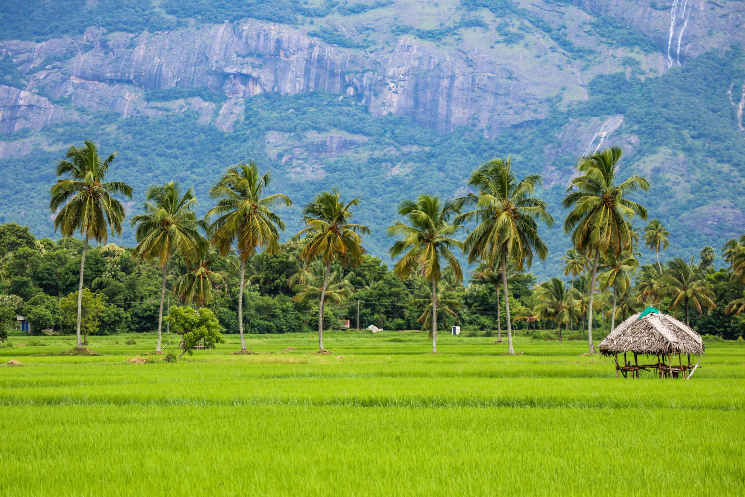 Fractional vacation homes India