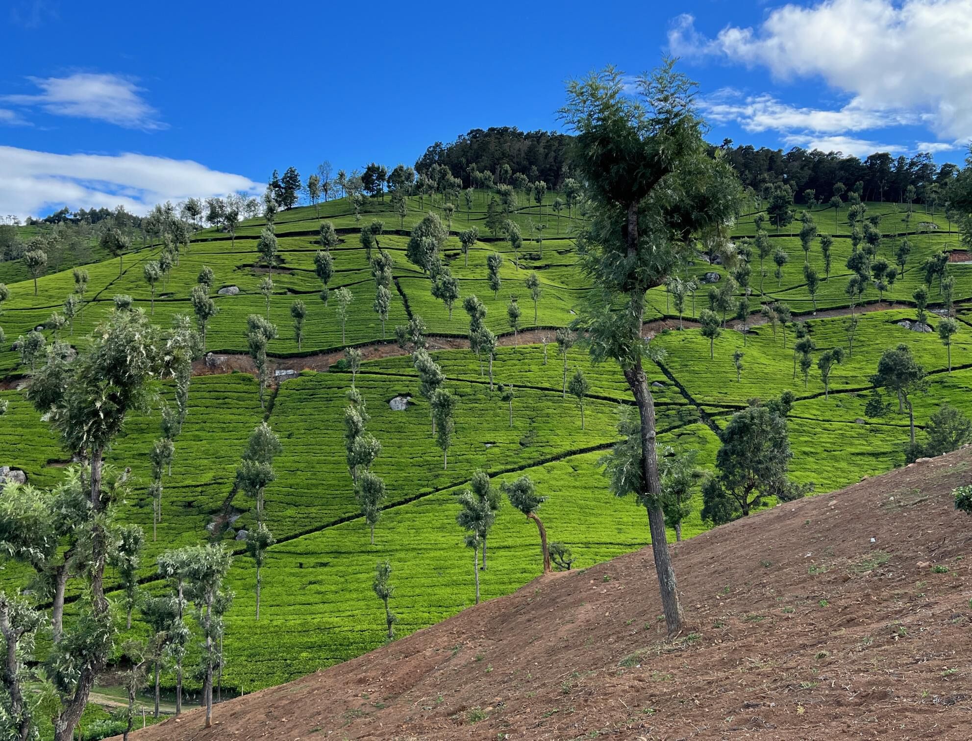 Co ownership home for sale Coonoor India