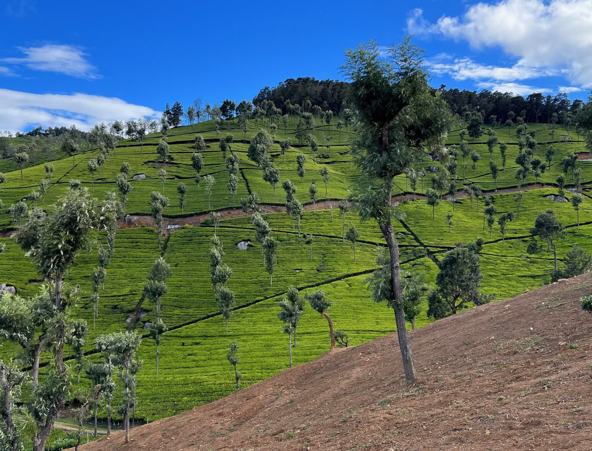 YOURS™ Vallée in Coonoor, Nilgiris | From 7,000,000 Rupees/share | Kocomo