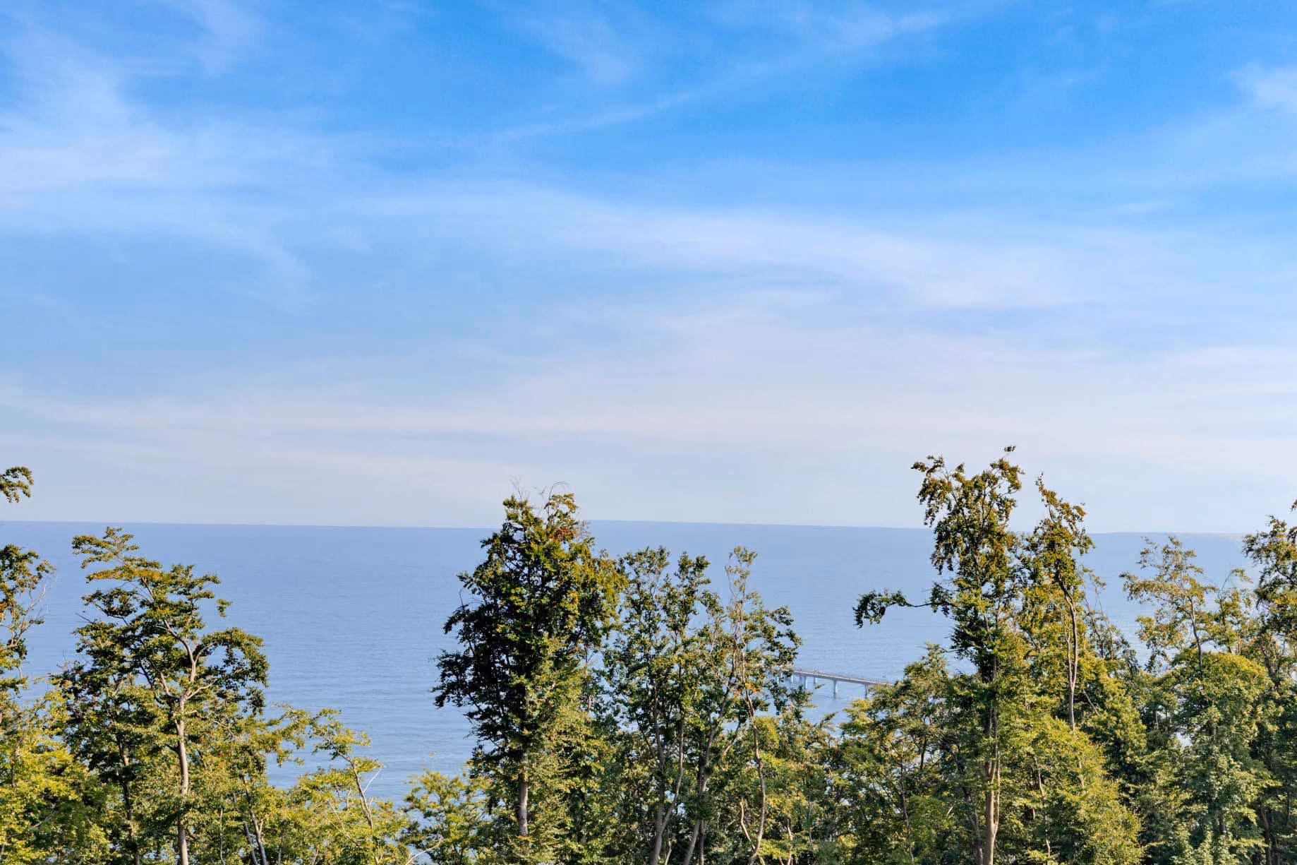Baltic Oasis