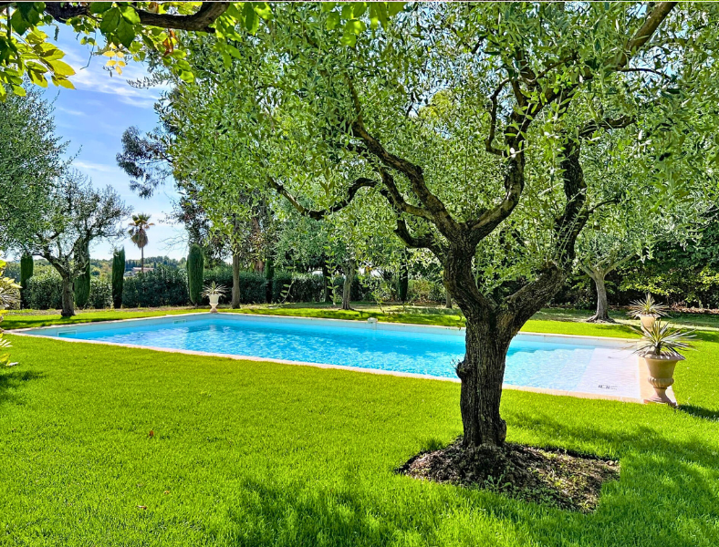 Picturesque villa framed by lush garden