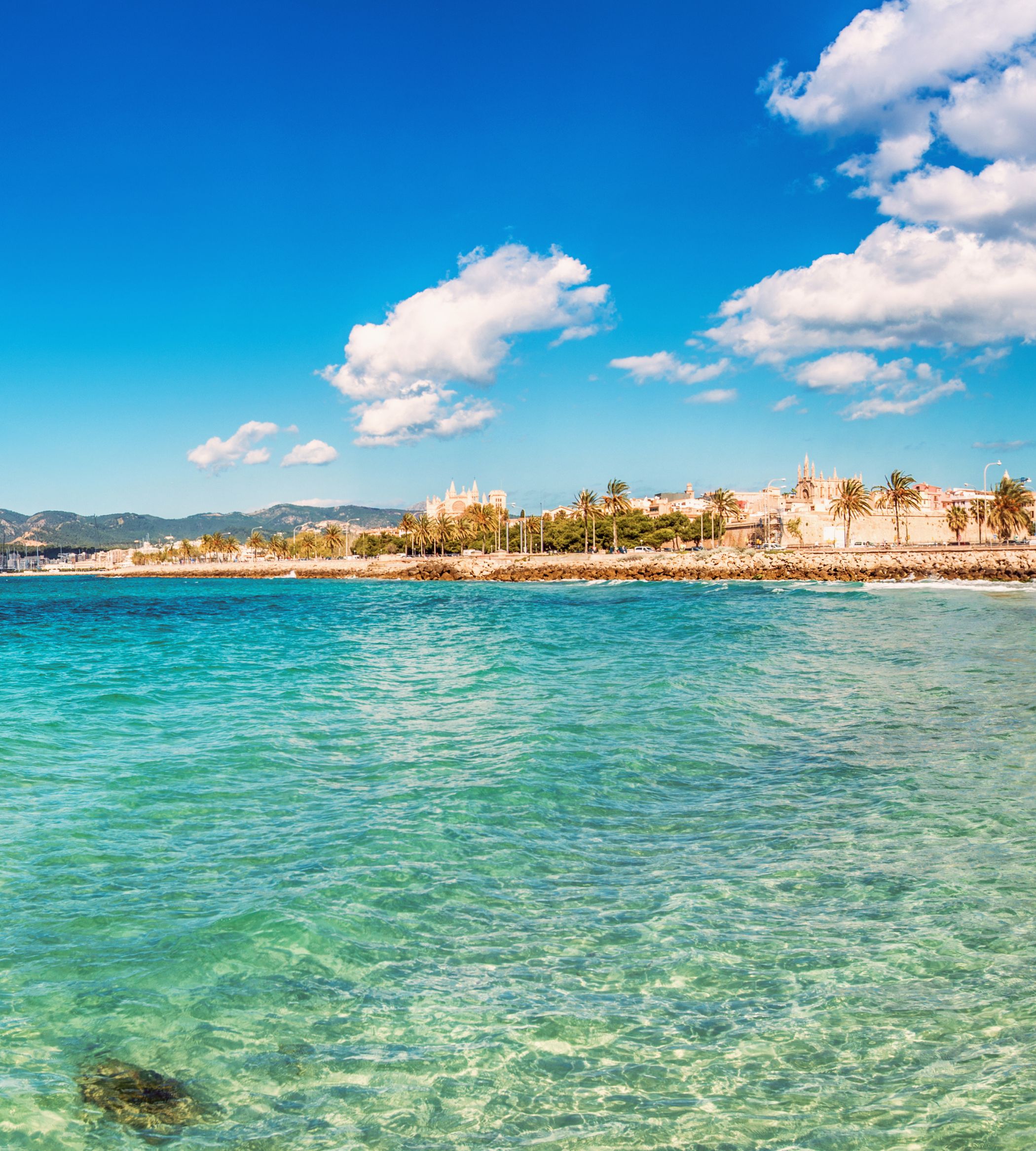 Ciudad Oasis
