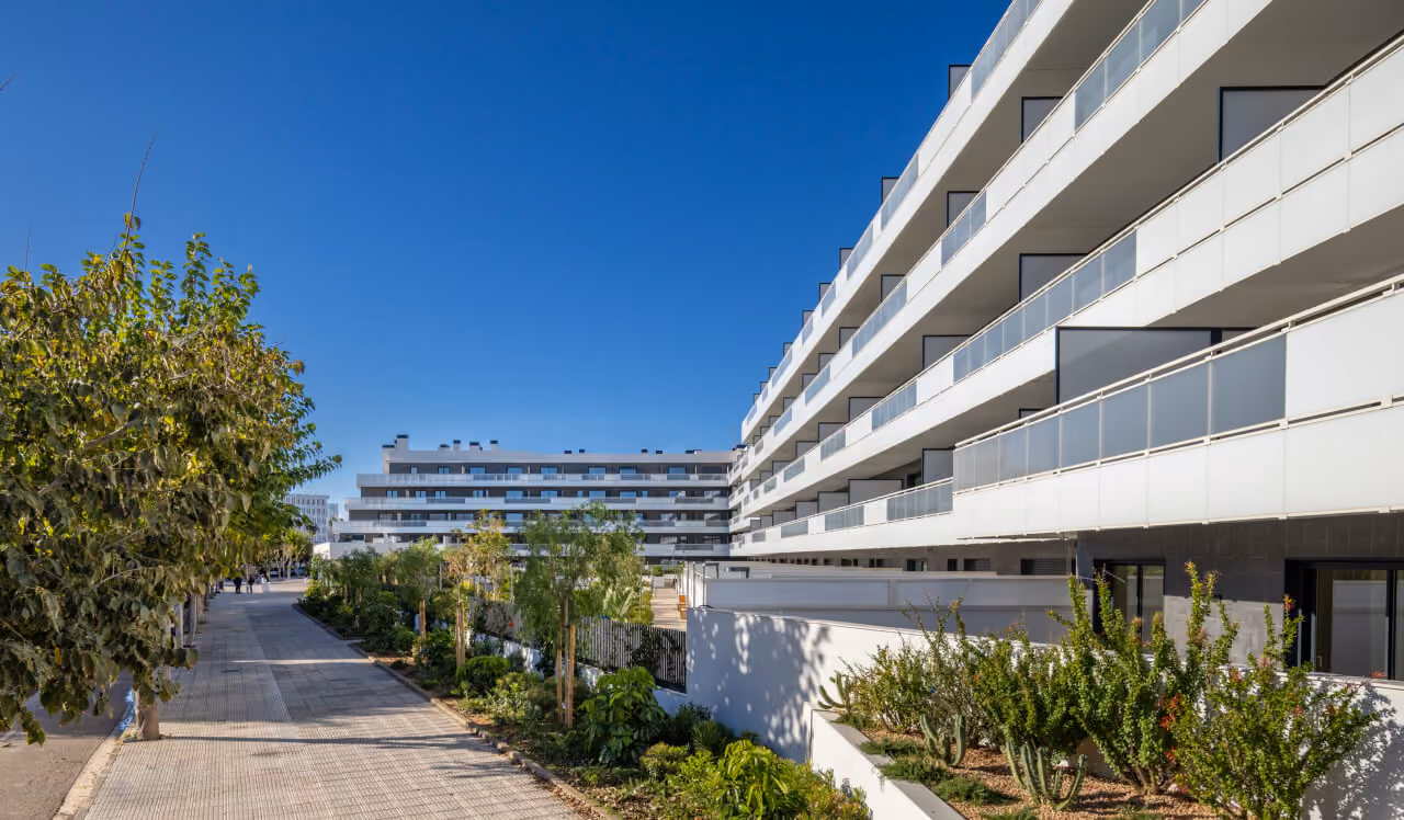 Ibiza