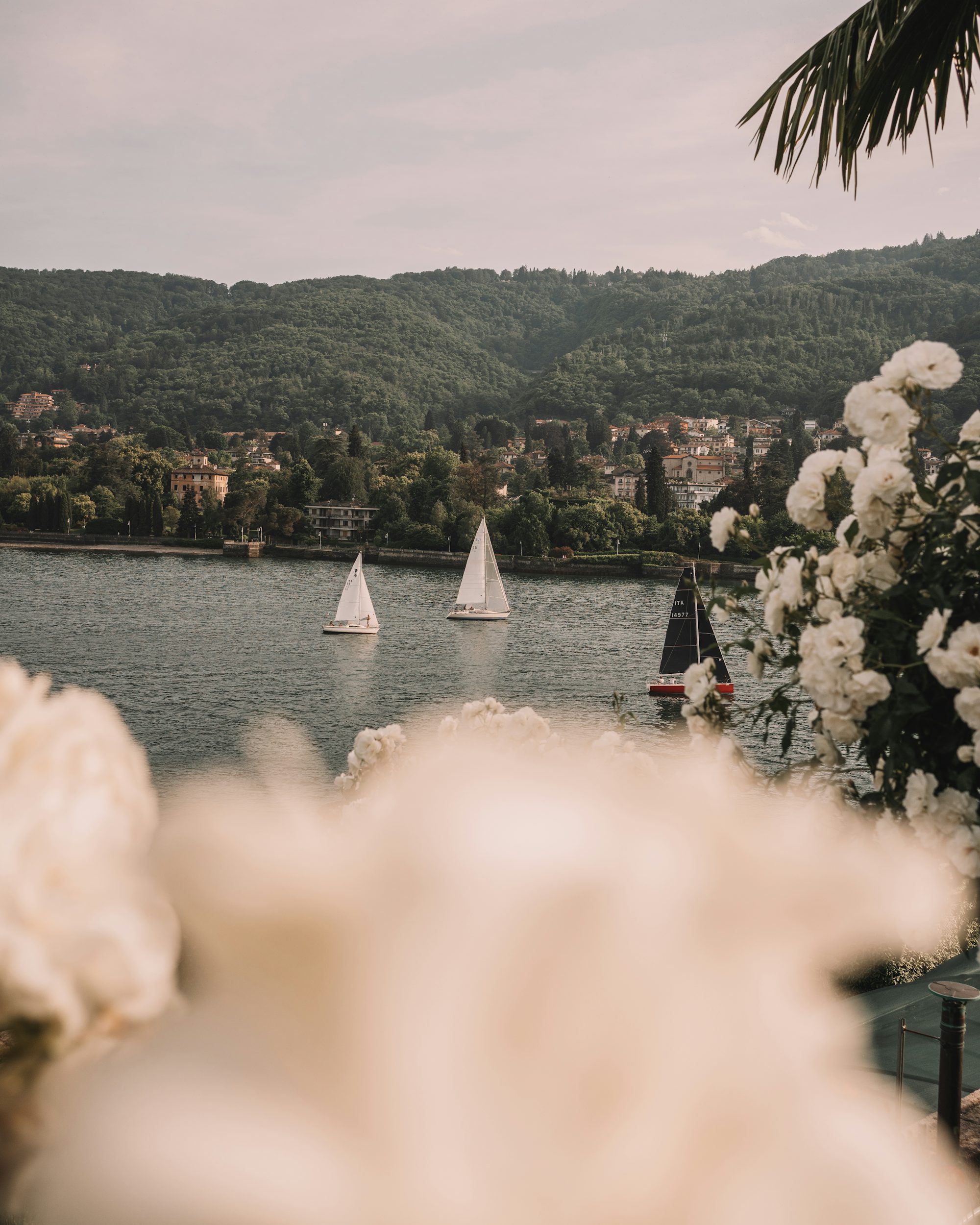 Lake Maggiore view in Stresa, Italy