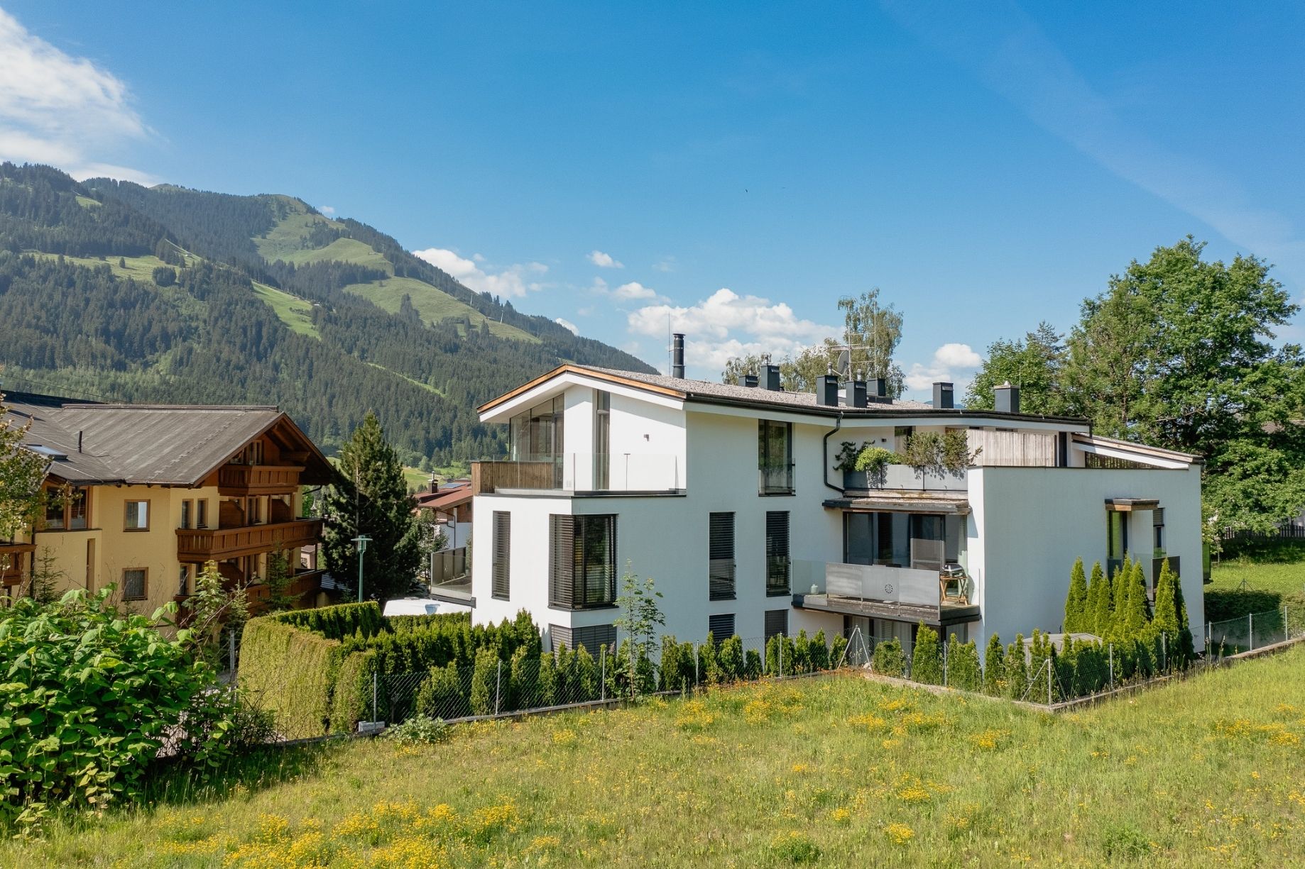Alpine Garden