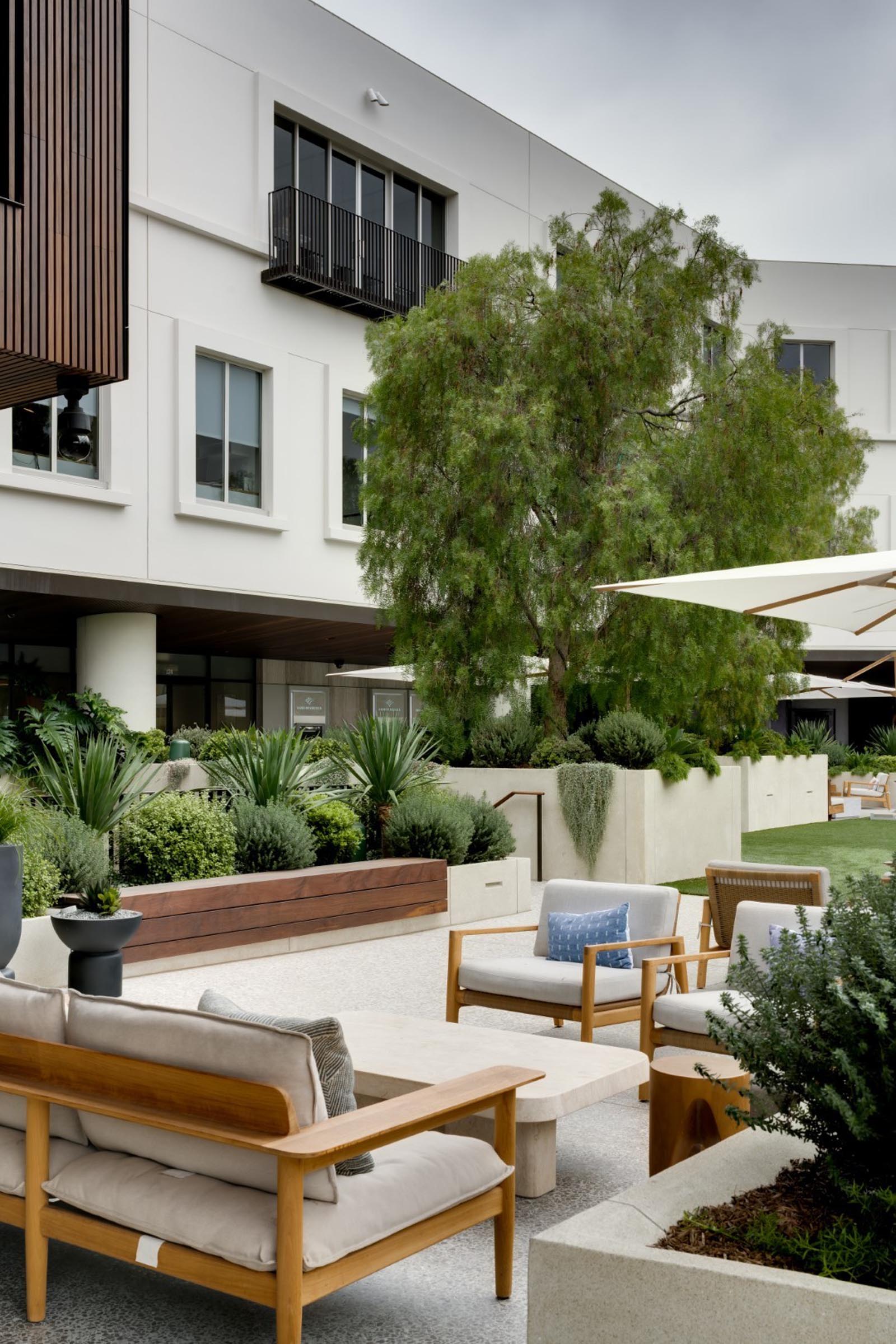 Montalba The Lawn 2