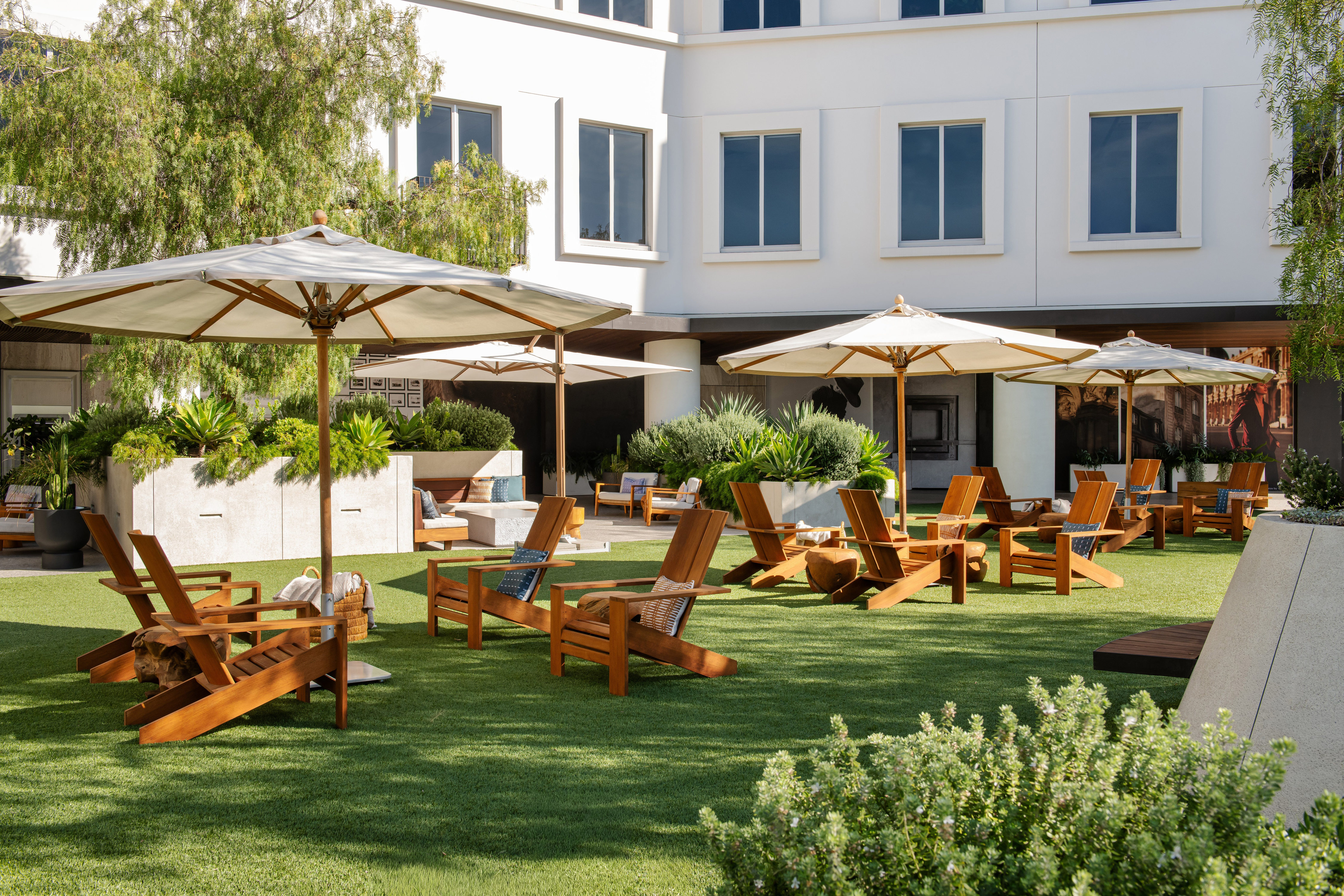 Montalba The Lawn Image