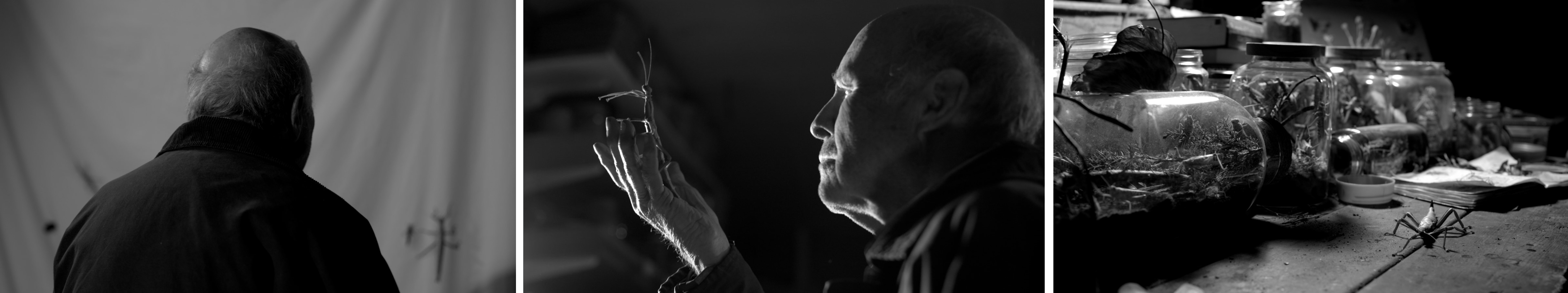 Three shots from The White Cocoon Short Film shot by Jan W. Gilbert