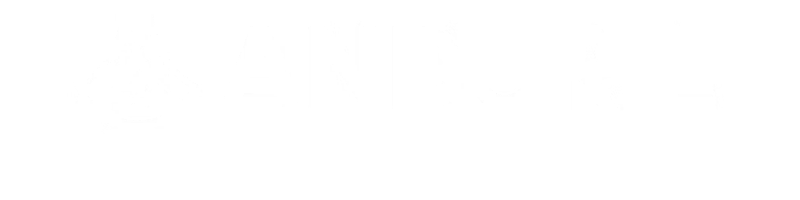Anduril Lattice