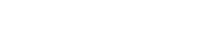 Skydio