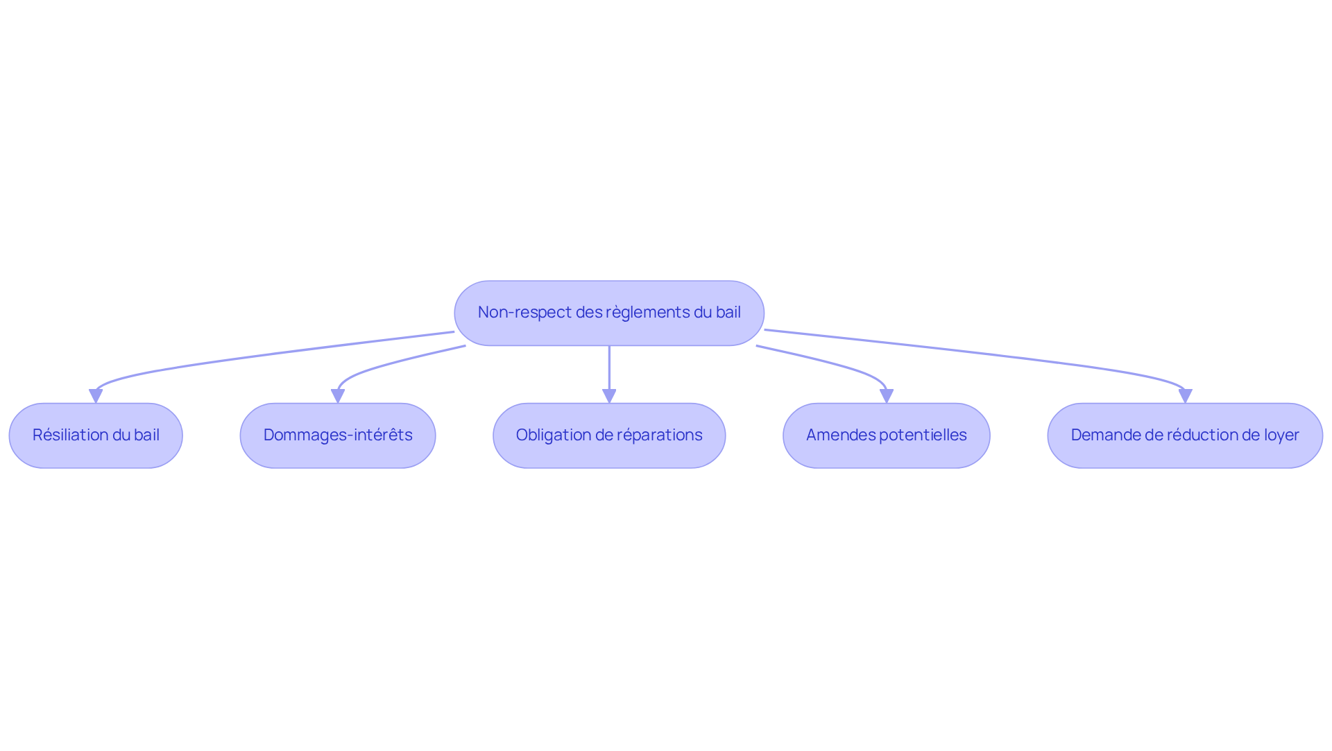 Ce flowchart montre les étapes successives à partir du non-respect des règlements. Chaque boîte représente une conséquence, et les flèches montrent comment les actions des propriétaires mènent à des résultats spécifiques.