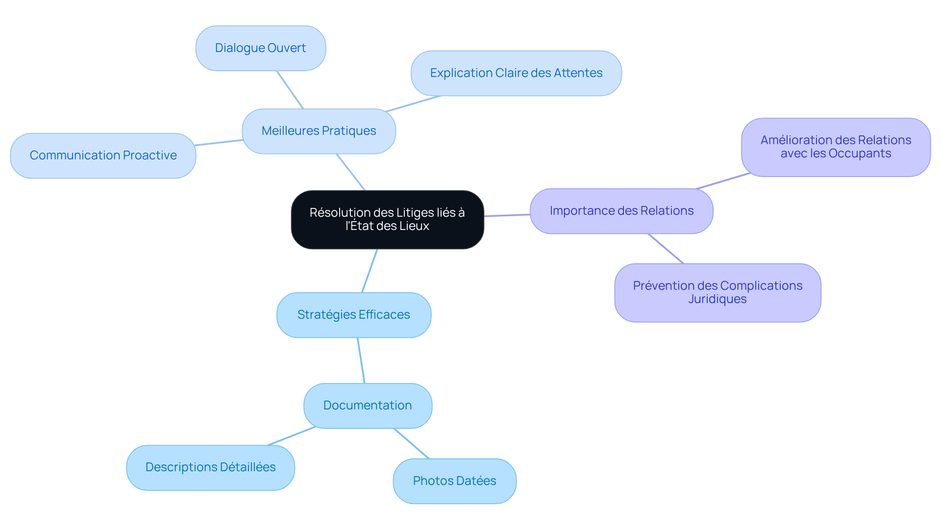 Le nœud central représente le sujet principal, tandis que les branches montrent les différents aspects et stratégies pour gérer les litiges, facilitant ainsi la navigation à travers les idées.