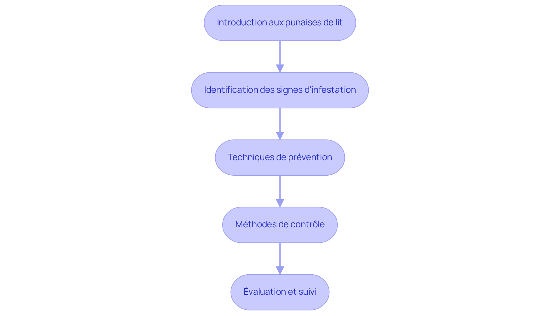 Chaque étape représente une partie du processus de formation — suivez les flèches pour voir comment chaque section s'enchaîne et contribue à l'apprentissage global.