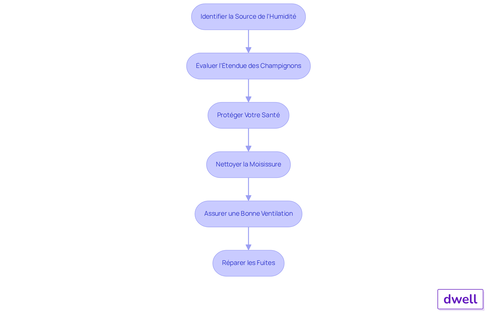 Chaque boîte représente une étape à suivre pour éliminer la moisissure. Suivez les flèches pour comprendre l'ordre des actions à entreprendre.