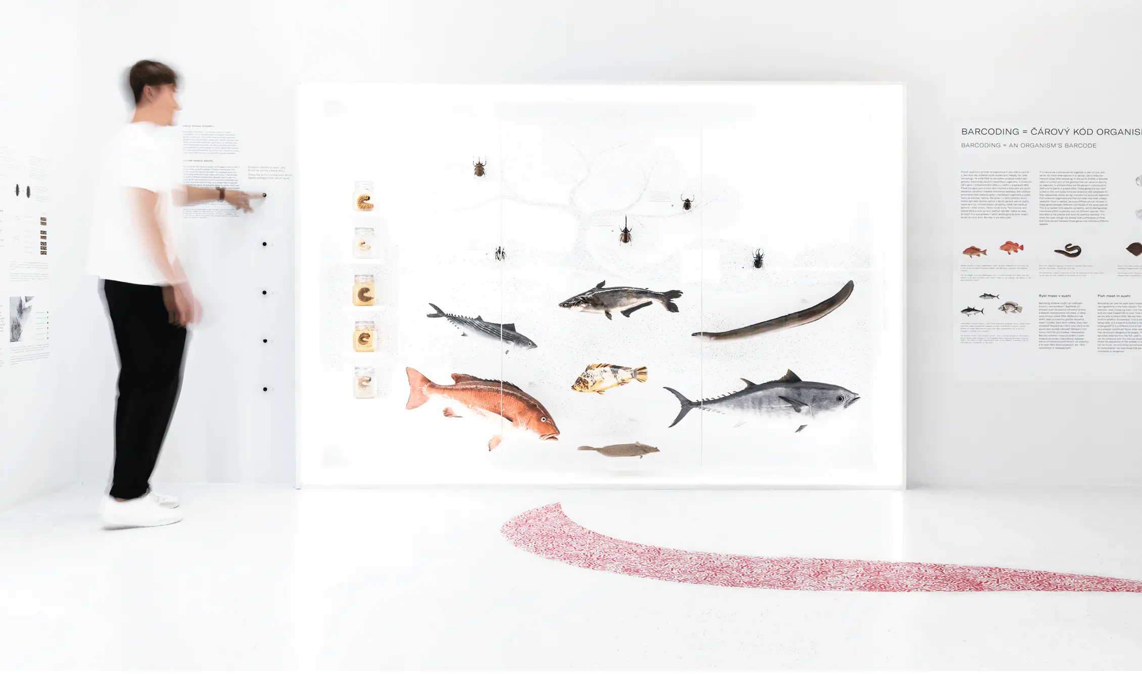 Instalace výstavy Doba genová s bílými vitrínami a laboratorními exponáty, doplněná grafickými vzory inspirovanými DNA.