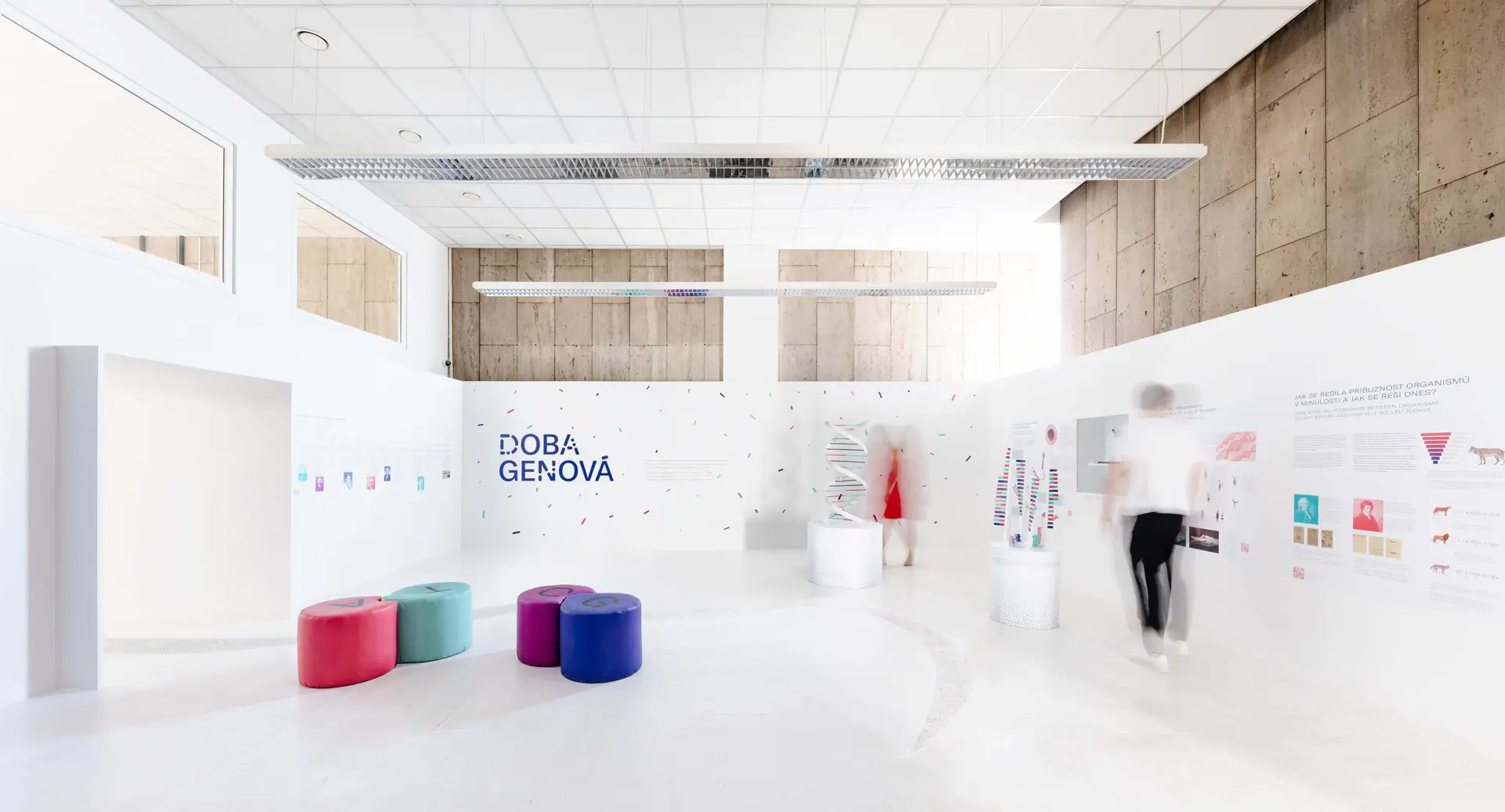Instalace výstavy Doba genová s bílými vitrínami a laboratorními exponáty, doplněná grafickými vzory inspirovanými DNA.