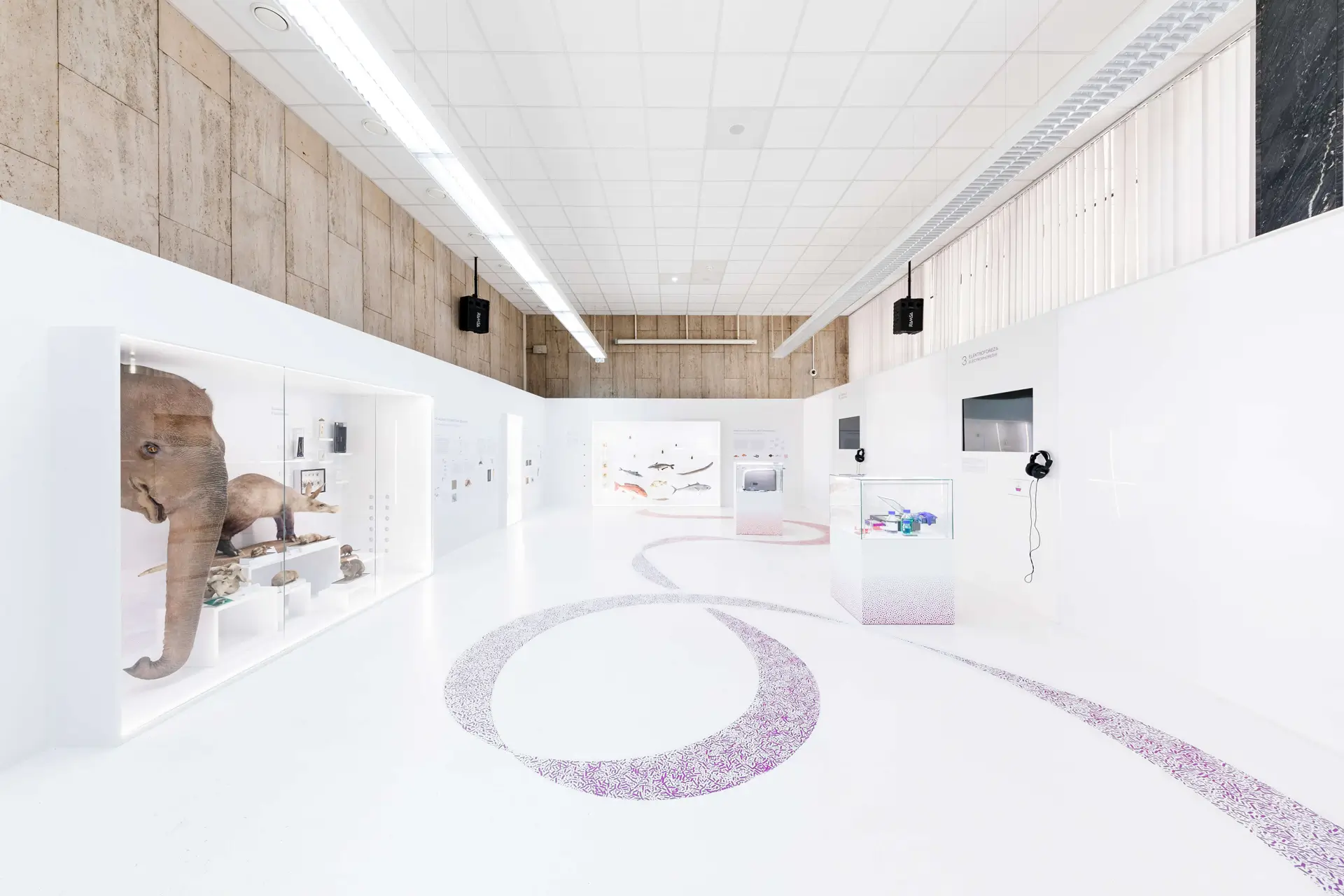 Expozice výstavy Doba genová s kombinací přírodovědných exponátů a laboratorních modelů, včetně vystavené části sloní lebky.