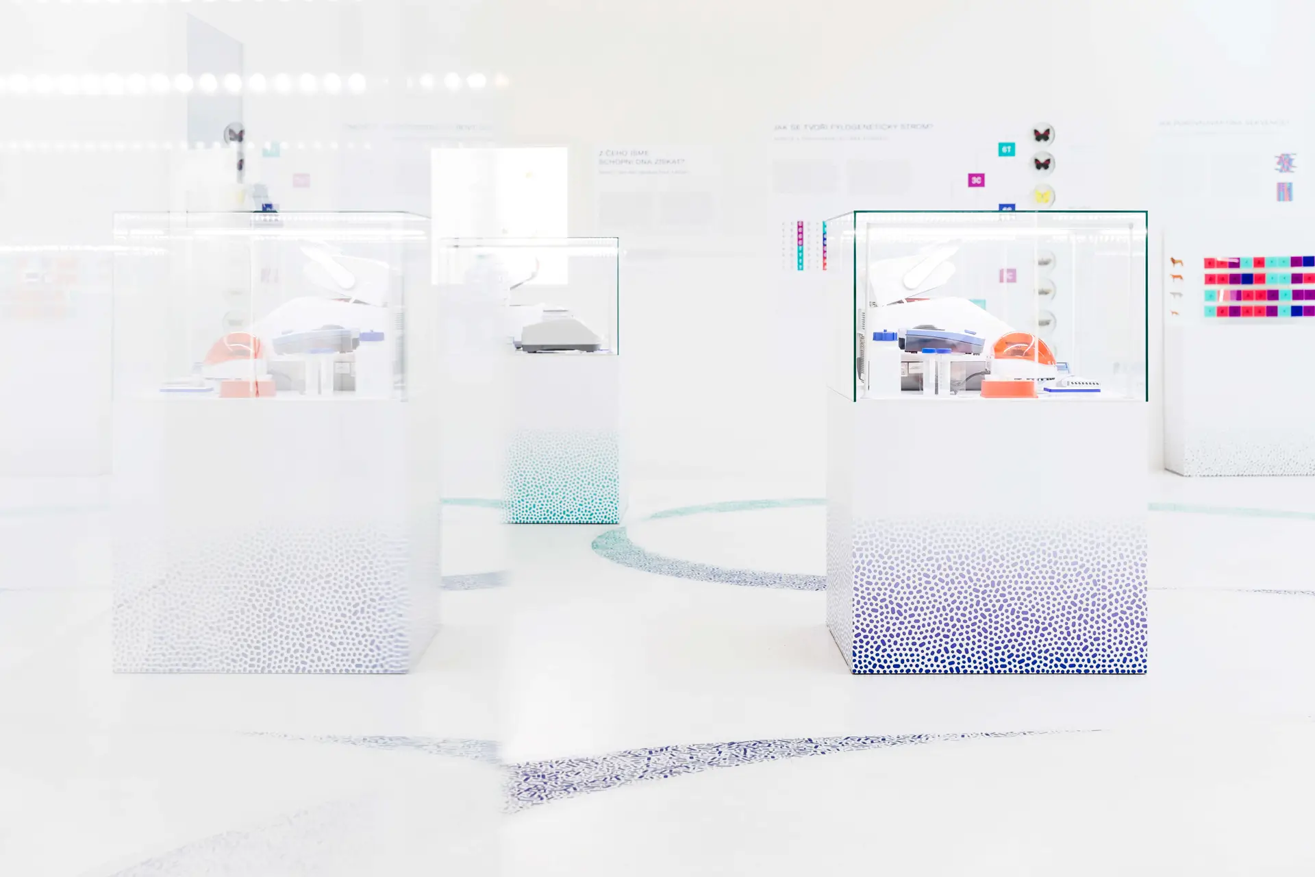 Instalace výstavy Doba genová s bílými vitrínami a laboratorními exponáty, doplněná grafickými vzory inspirovanými DNA.