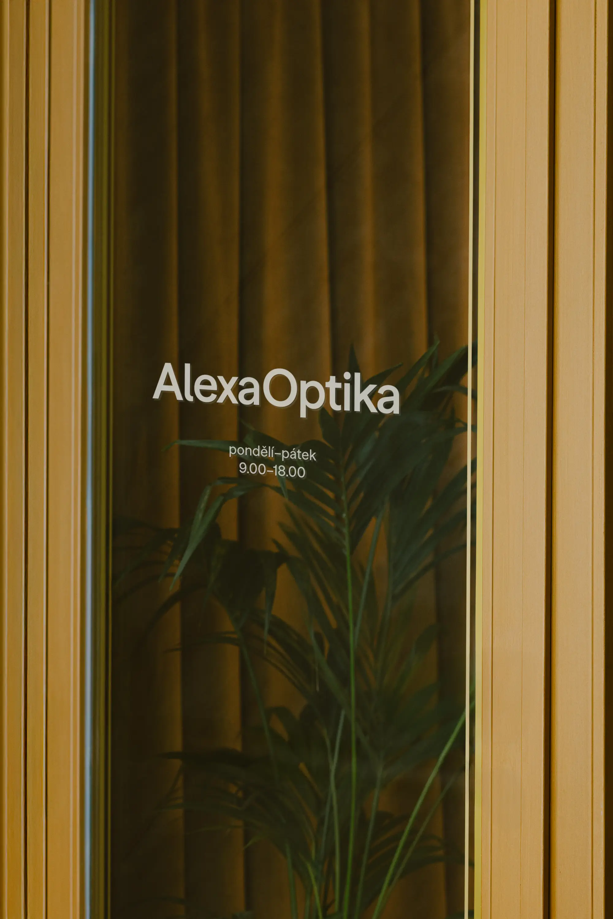 Logo Alexa Optika a otevírací doba aplikované na skleněných dveřích provozovny s rostlinou v pozadí.