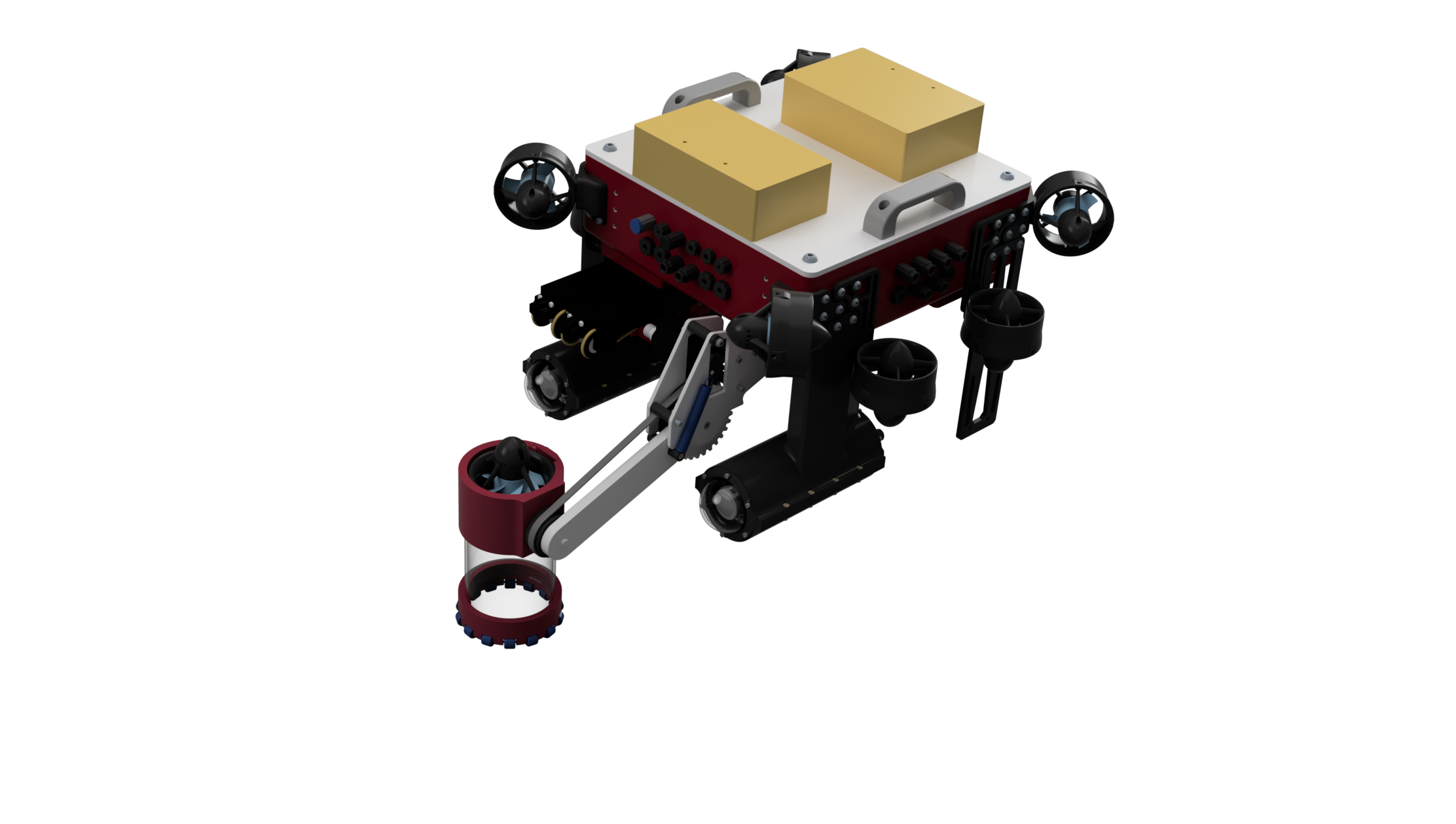 3D rendering of Kingfisher