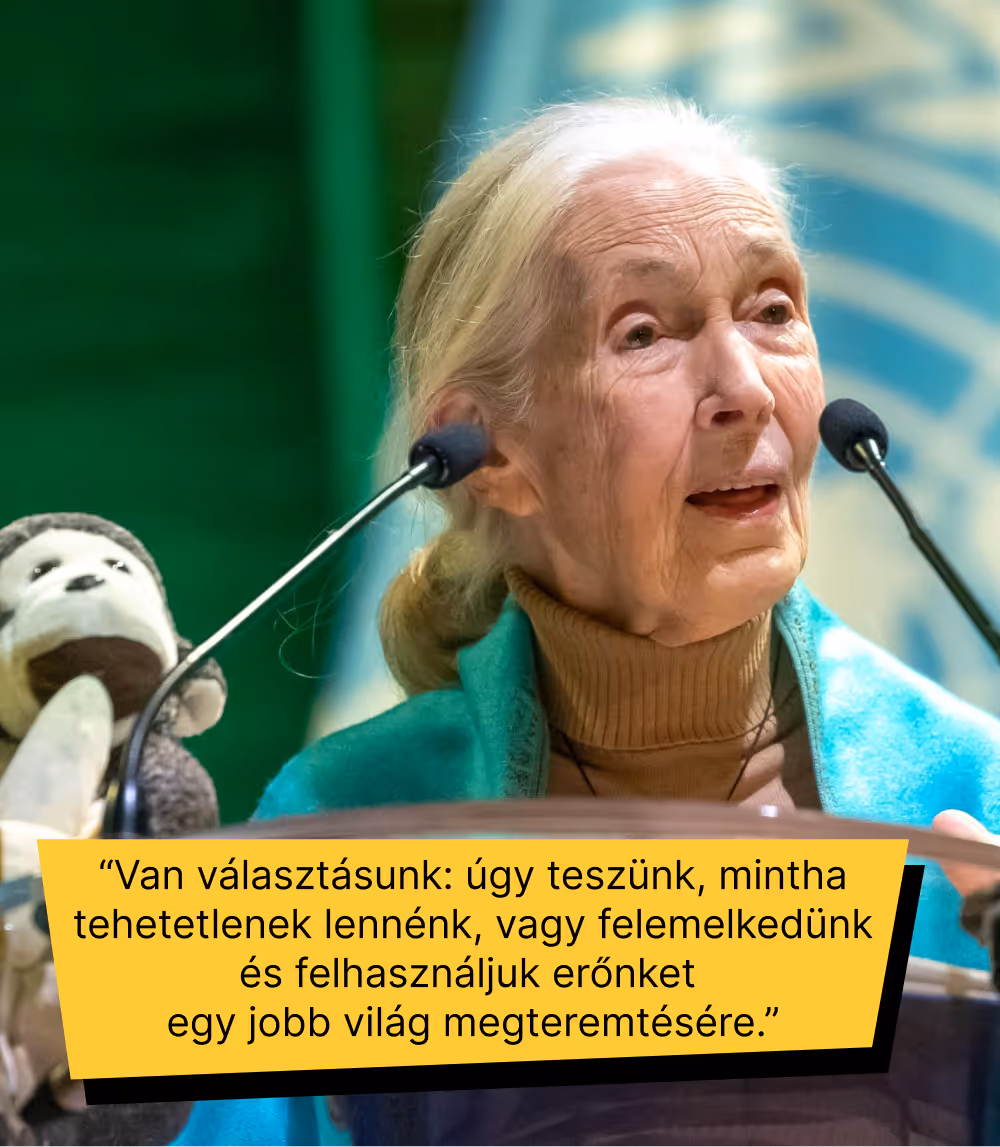 Idős nő beszél két mikrofon előtt, mellette egy plüssmajom, magyar idézettel egy jobb világ létrehozásáról.