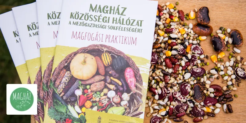 Magház közösségi hálózat magfogási praktikum kézikönyvek és különféle színes magok szórva egy fafelületen.