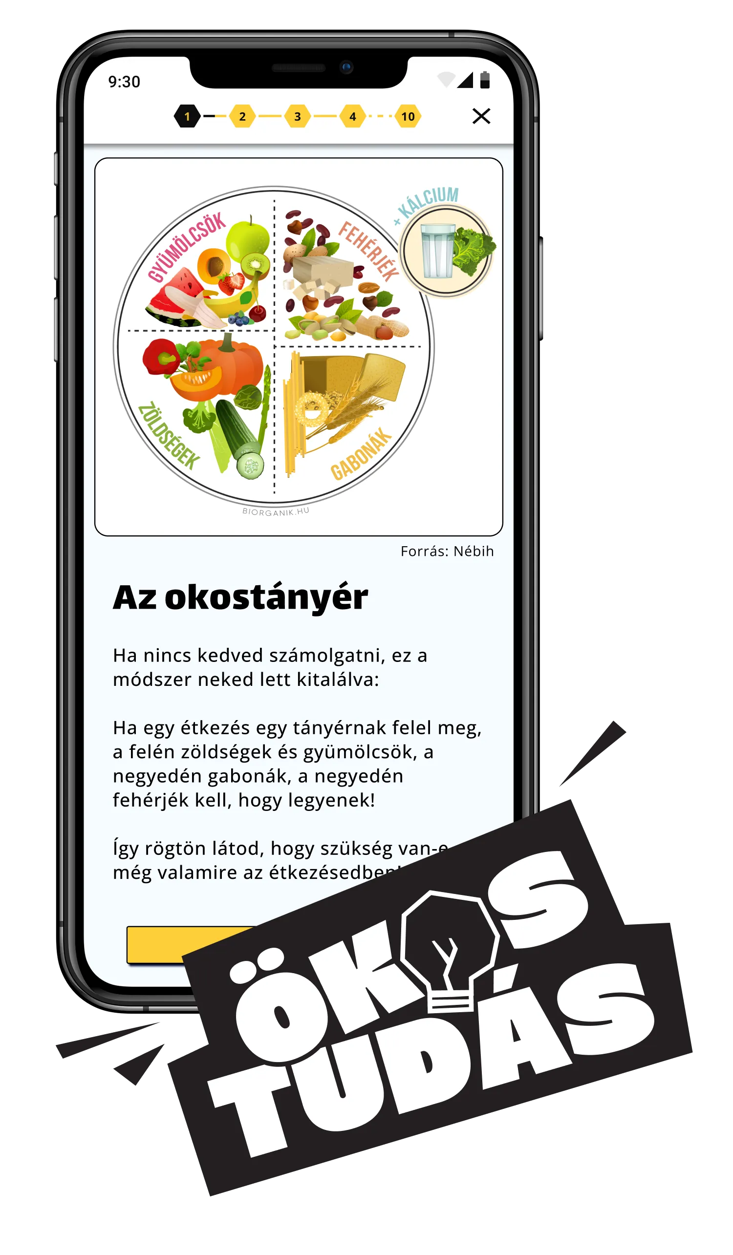 Okostányér diagram mobilképernyőn zöldségek, gyümölcsök, gabonák és fehérjék arányával, plusz kalcium, magyar nyelvű magyarázattal.