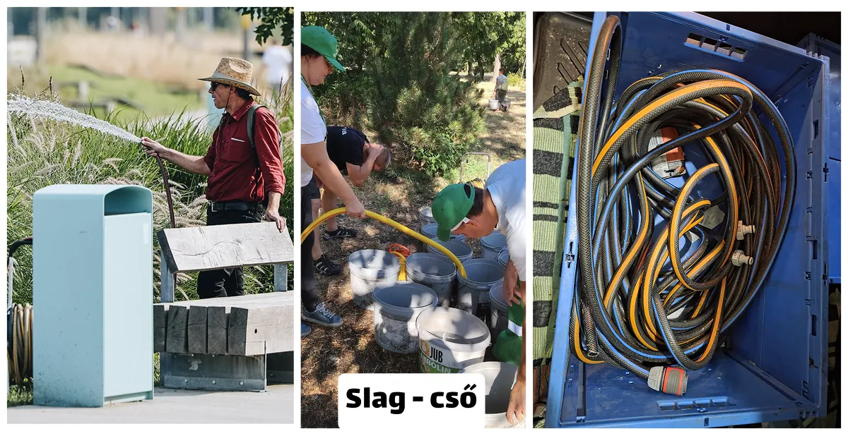 Ember slag csővel öntözi a növényeket, mások vödröket töltenek slag csővel, slag csövek kék dobozban.