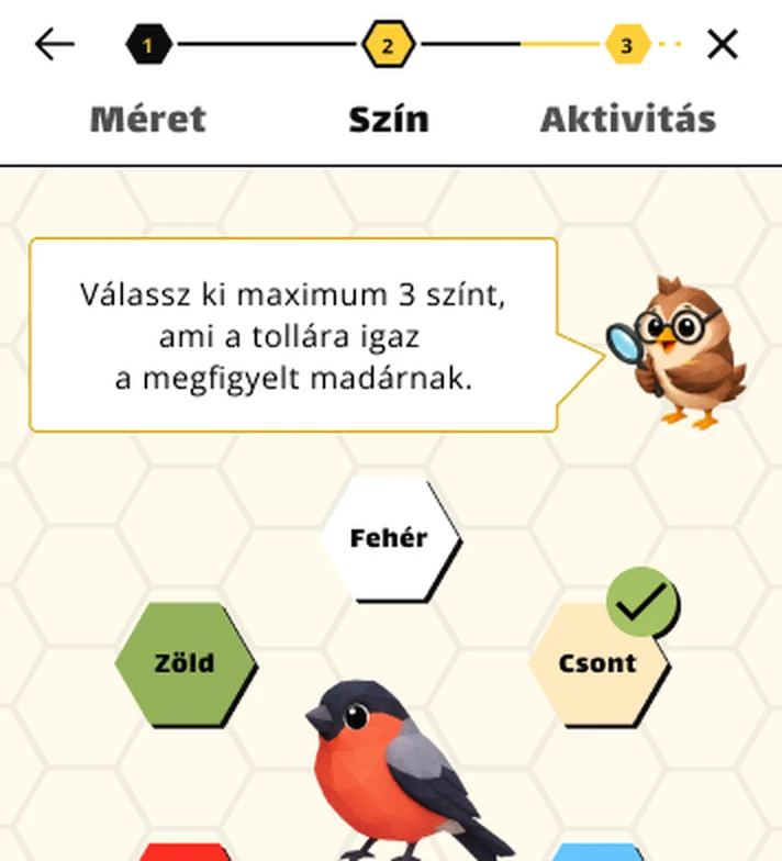 Az app felismerő lépése: méret, szín és aktivitás alapján szűkíti a fajt