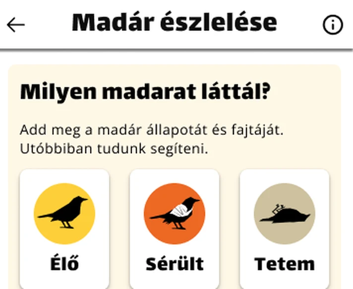 Az app Madár észlelése képernyője: élő, sérült vagy tetem