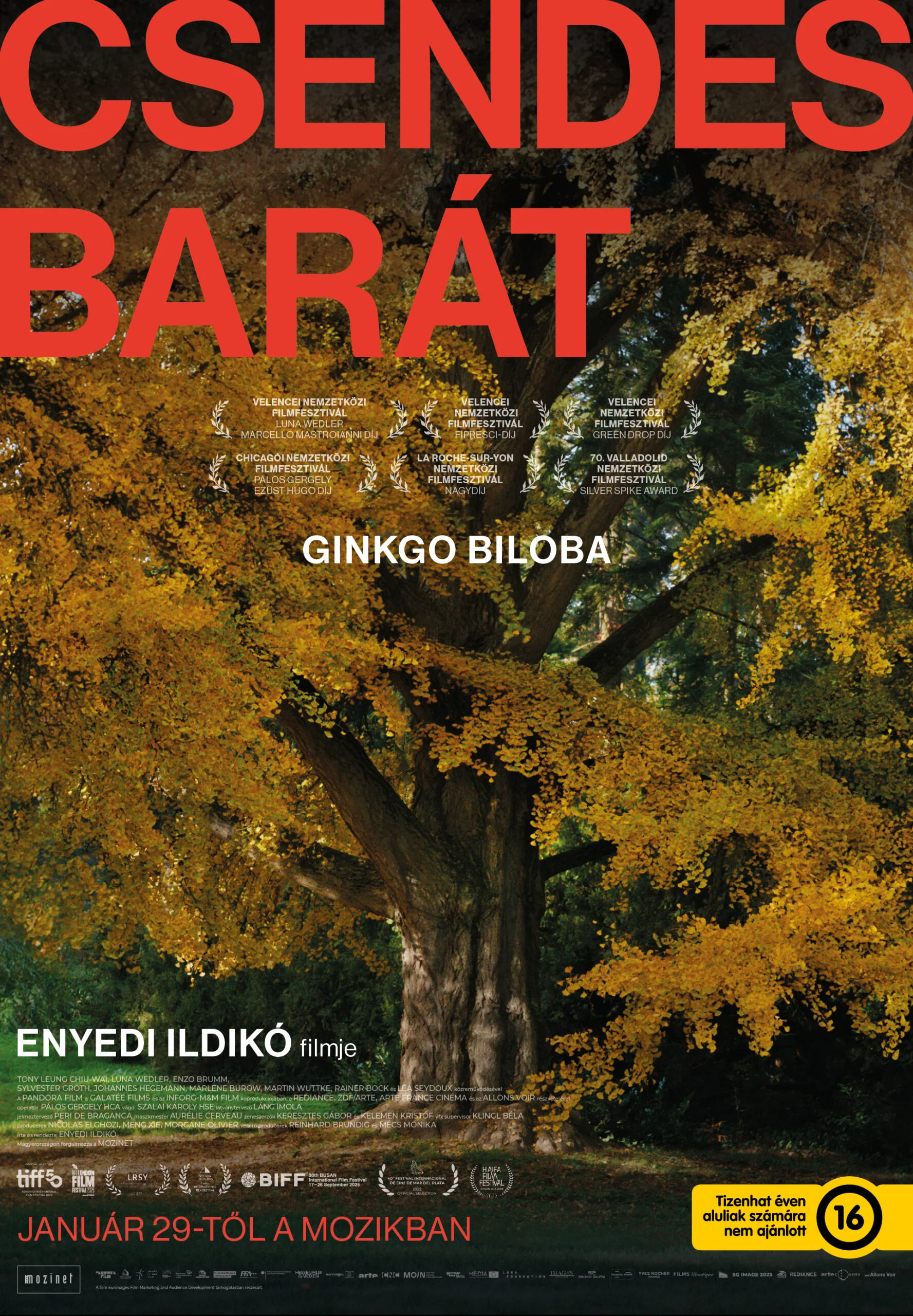 A Csendes barát Enyedi Ildikó legújabb filmje, amely a növények „érzéseit” és az ember-természeti környezet kapcsolatát állítja középpontba, három történeten keresztül.